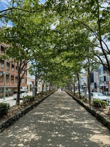 Kamakura Komachi-dori Straße (小町通り)