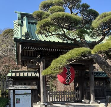 Hasedera (長谷寺)
