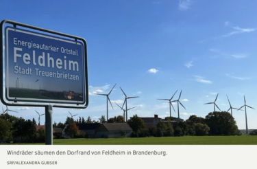 フェルドハイムにおける再生可能エネルギー事業——地域社会との協働という視点から（Renewable energy projects in Feldheim. From the perspective of cooperation with the local community）