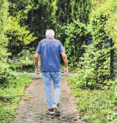 介護保険の実情とその改訂　ドイツを例に